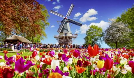 Urlaub Niederlande Reisen - © Adobe Stock