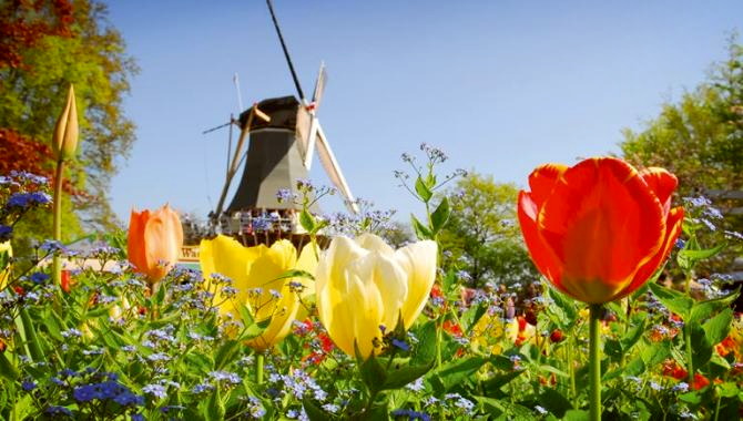 Urlaub urlaub Reisen - Holland Blumenparadies - 4 Tage