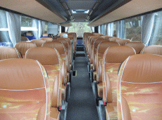Comfort Class Busse
