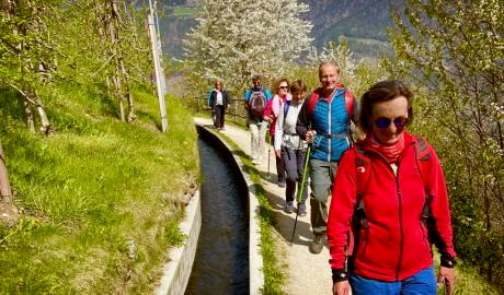 Urlaub Italien Reisen - Suedtirol Weinbergwandern 6 Tage